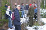 karkkila04foret2.jpg (123877 octets)